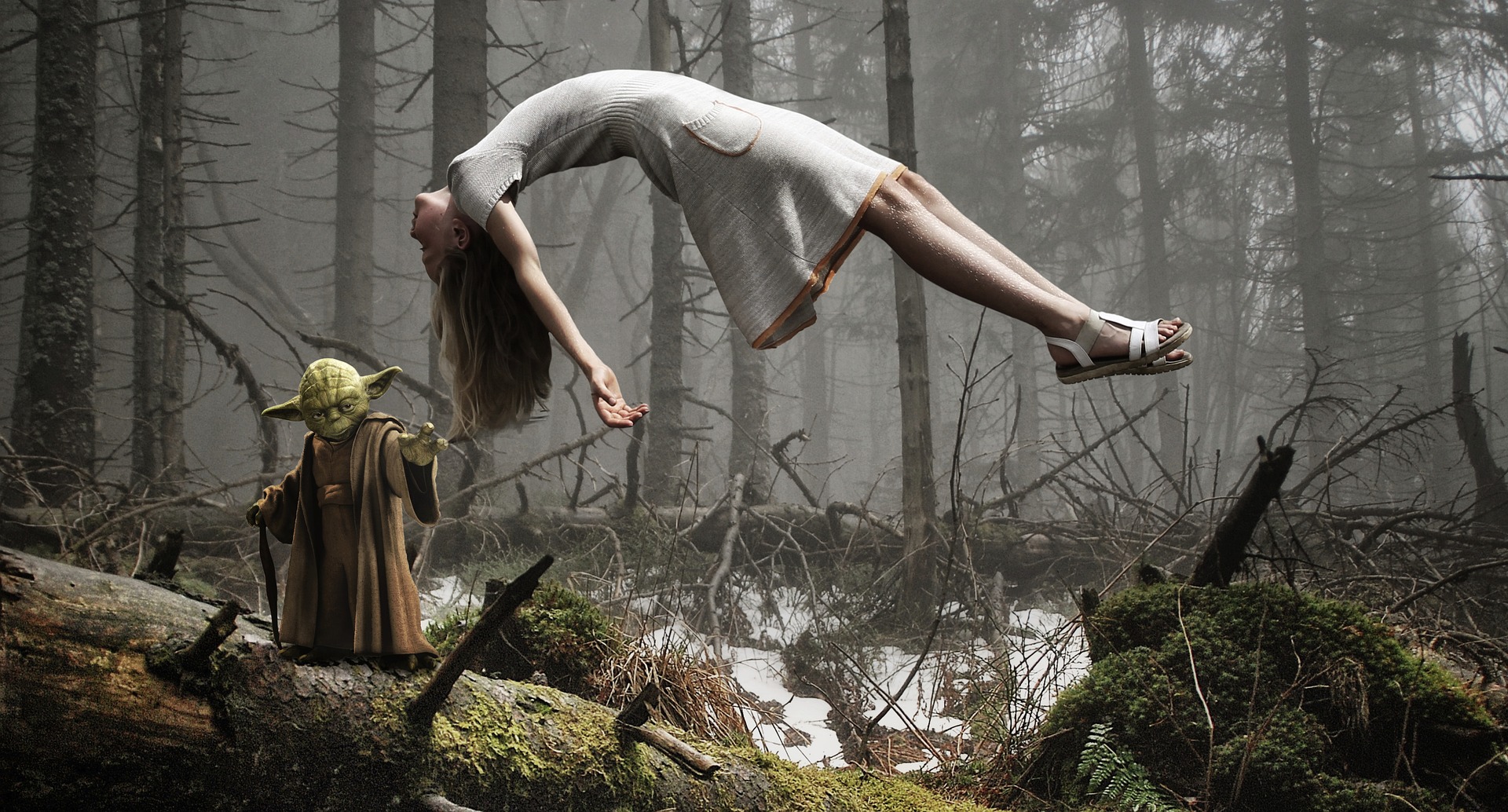 YODA die Macht der Jugend erwacht Ridhwan Stiftung