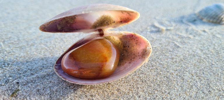 Herzkunde Seminar Berlin