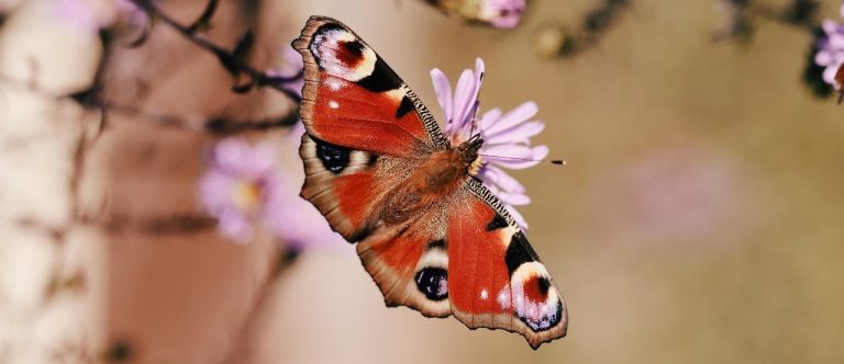 Entdecke dich selbst!