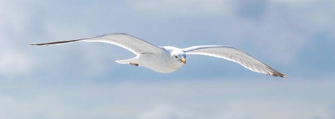 Befreiung vom Inneren Richter