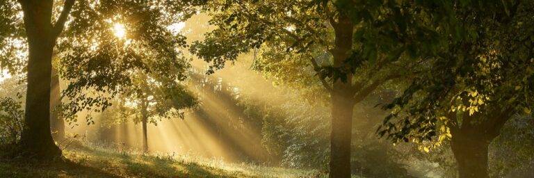 Frei vom Inneren Kritiker!