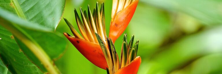 Einführungsabend in den Diamond Approach