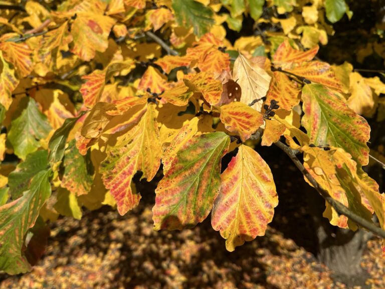 Neues von der Stiftung