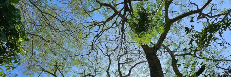 Einführung in den Diamond Approach