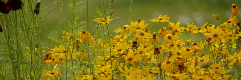 Einführung in den Diamond Approach