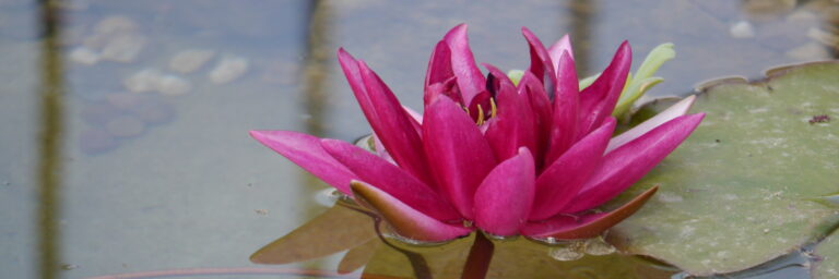 Einführung in den Diamond Approach