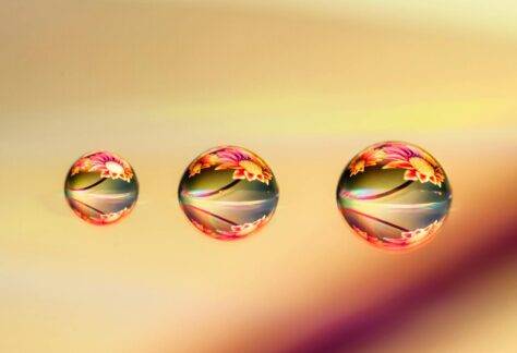 Intricate macro shot showcasing water drops reflecting vibrant floral patterns, creating a colorful and artistic image.